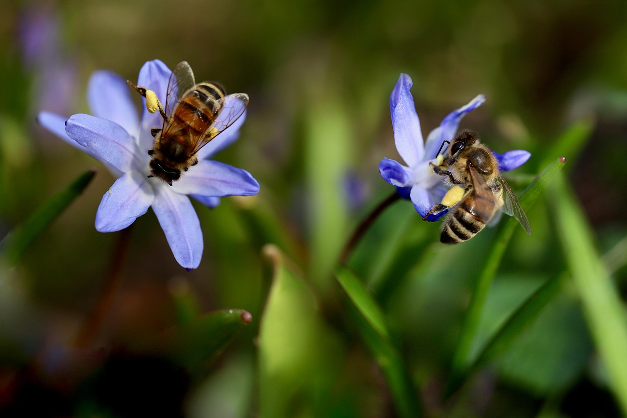 秋の北海道で花粉症対策におすすめの方法は？
