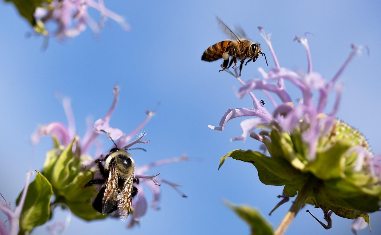 花粉対策に効果的なおすすめグッズは？