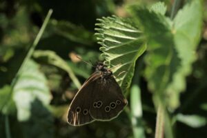 花粉症の症状を和らげるために試すべき対策は？