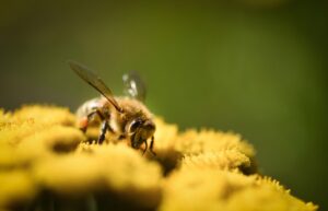 秋の花粉症対策におすすめのグッズは？