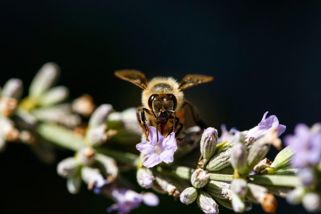秋の花粉症対策におすすめの食事は？