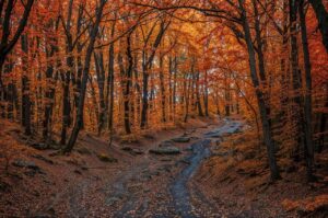 秋に鼻炎が治らない原因と対策は？