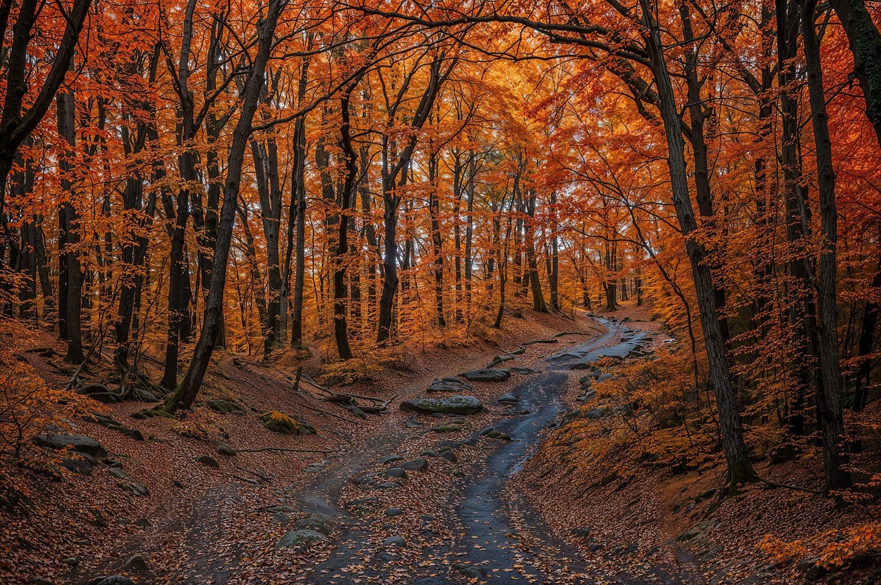 秋に鼻炎が治らない原因と対策は？