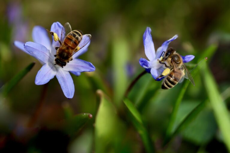 秋の花粉症で失敗しないために知っておくべき対策は？