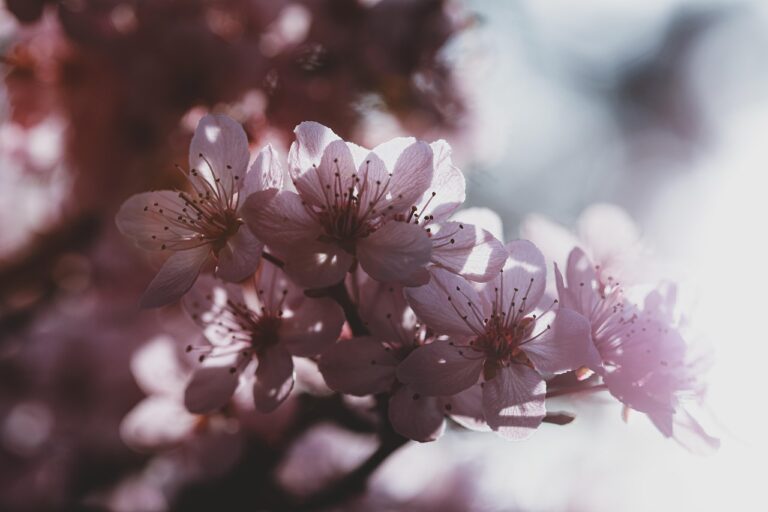 秋の花粉症の治療料金はどれくらいかかる？