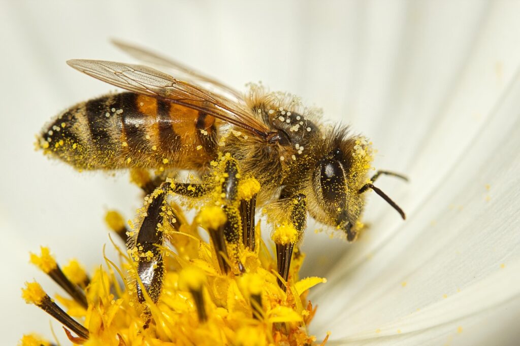 秋の花粉症対策は口コミで決まる？